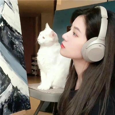 不赞成不反对